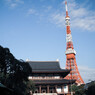 増上寺 2015年秋