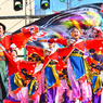 紀州弁慶よさこい踊り④