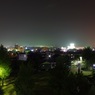 CHO_6244