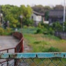 CHO_6928