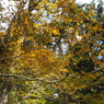PA160077
