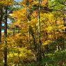 PA160230