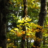 PA160241
