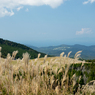 PA180092