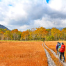 尾瀬草紅葉2015(46)