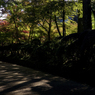 蛇腹路#2