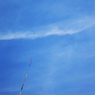 「Cool」凧糸が見えない・丸いカラフル凧 (3)