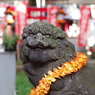 狛犬_気象神社_高円寺氷川神社