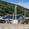 なんとなくいい心地