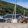 なんとなくいい心地