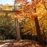 奈良井宿～鳥居峠～薮原宿-102