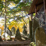 奈良井宿～鳥居峠～薮原宿-109