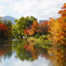 中島公園 紅葉