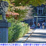 鎌倉アルプス紅葉狩り2014(9)