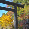 鎌倉アルプス紅葉狩り2014(11)