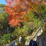鎌倉アルプス紅葉狩り2014(12)