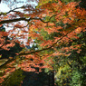 鎌倉アルプス紅葉狩り2014(13)