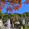 鎌倉アルプス紅葉狩り2014(15)