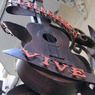 0960 El Flamenco Vive