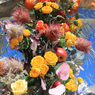 ☀「青い空」が一番　　薔薇色