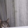 じ～と　何見てるの…？