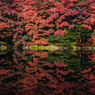 Red  reflection