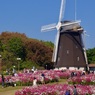 P1090910