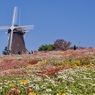 P1090881