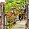 木曾路はすべて山の中である・・・妻籠宿 脇本陣奥谷