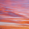一瞬の輝き　夕陽