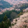 吉水神社境内の眺め　3