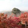 秋の尾関山公園とその周辺散歩