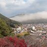 秋の尾関山公園とその周辺散歩