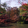 長谷池の紅葉#1