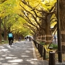 autumn for tokyoites 2023