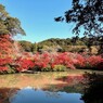 佐賀の紅葉