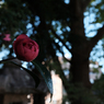 Unobtrusive kindness