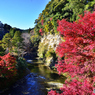 渓谷の紅葉