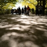 autumn for tokyoites 2023