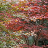 須磨離宮公園③