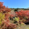 紅葉3