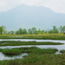 尾瀬の風景