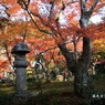 秋の散歩道(園光寺)
