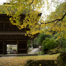 autumn for tokyoites 2023