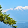 シロヤシオ探訪山行 in 檜洞丸2014(28)