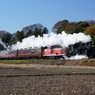 続編　真岡鉄道　SL・DLの重連！①