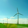 Wind, Electricity, and Green