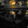 ひごあかり２０２３～xiii