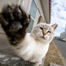 おりゃ！！