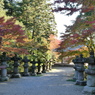秋の能仁寺参道(1)